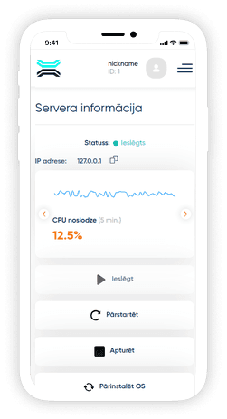 VPS servera pārskata panelis