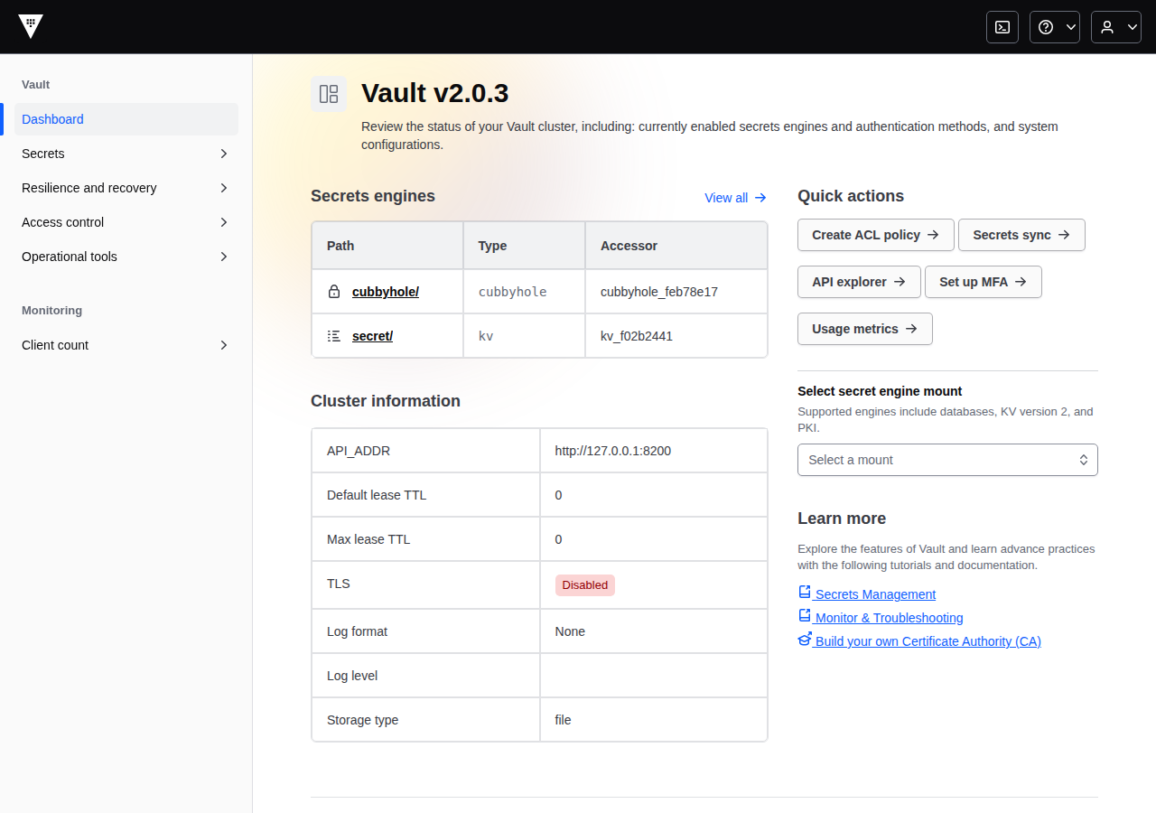 HashiCorp Vault after the first successful sign-in