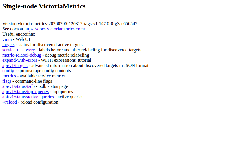 VictoriaMetrics po pirmo sėkmingo prisijungimo